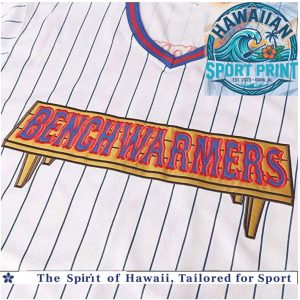 Custom Benchwarmers Pinstripe Baseball Jersey Blue And Red